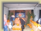Pumpkin (23) * 1600 x 1200 * (1.12MB)